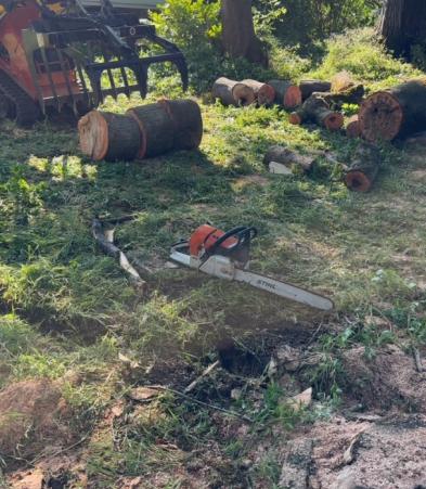 Abattage à l'aide d'un porte outil sur chenille Ditch Witch 